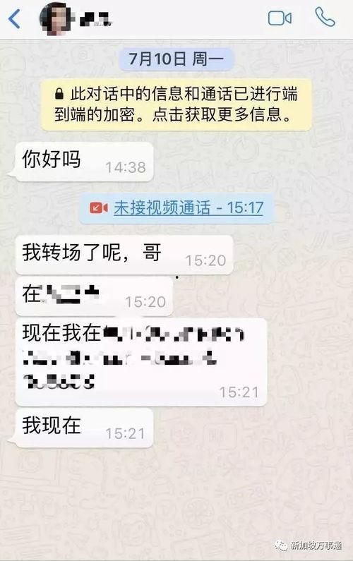 爆料新加坡花场视频大全,揭秘花场魅力瞬间 第3张 爆料新加坡花场视频大全,揭秘花场魅力瞬间 第3张