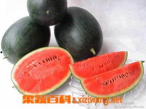 黑料社网红吃瓜,揭秘娱乐圈背后的惊人真相 第3张 黑料社网红吃瓜,揭秘娱乐圈背后的惊人真相 第3张